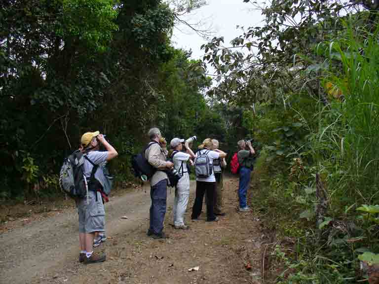 birding group